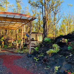 Exotic Garden At Amazing Volcano Fissure , Mountain View United States