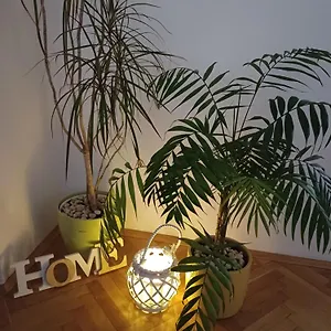 Lav Appartement Zadar